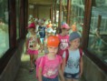 /album/vylet-do-zoo/img-3084-jpg/