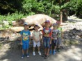 /album/vylet-do-zoo/img-3121-jpg/